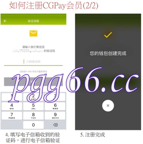 CG会员注册2