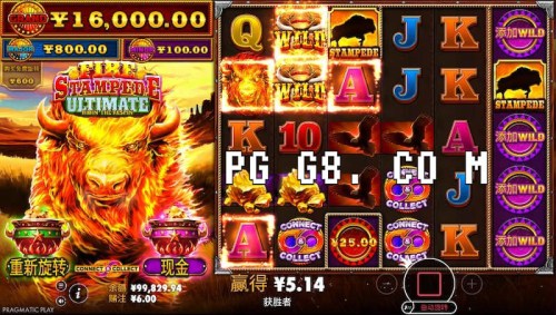 PP终极火焰狂潮