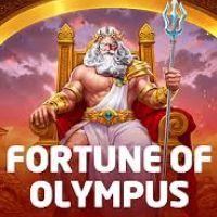 奧林匹斯財富icon